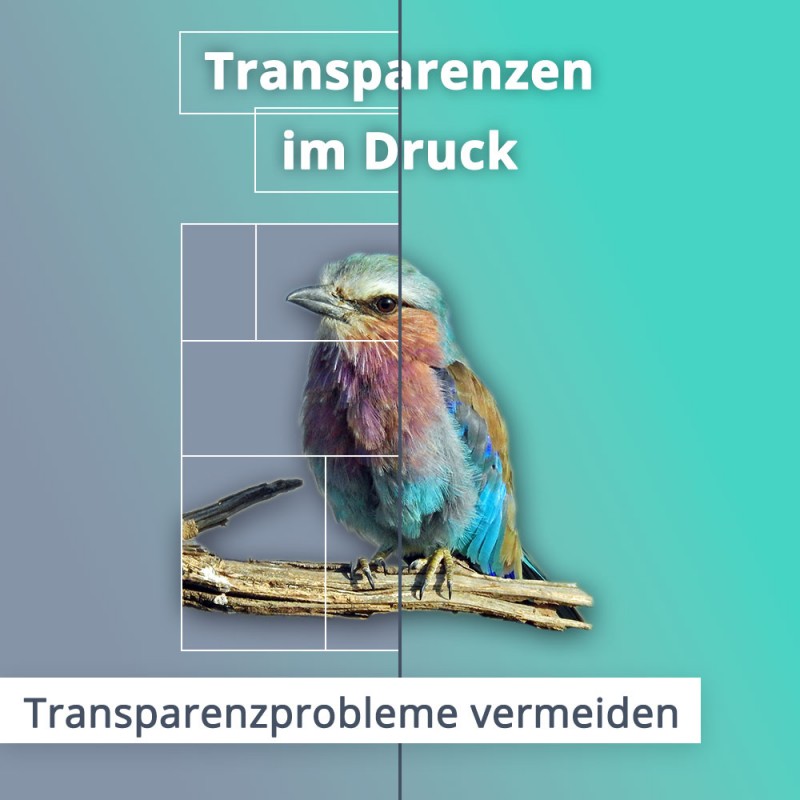 Transparenzprobleme vermeiden