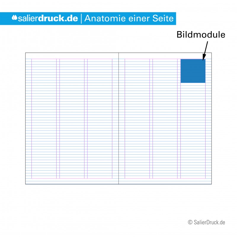 Im Bereich der Bildmodule können Grafiken eingebaut werden.