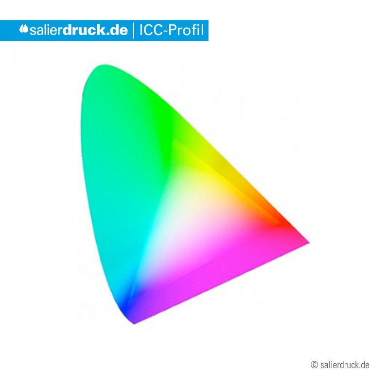 Das ICC Profil | SalierDruck