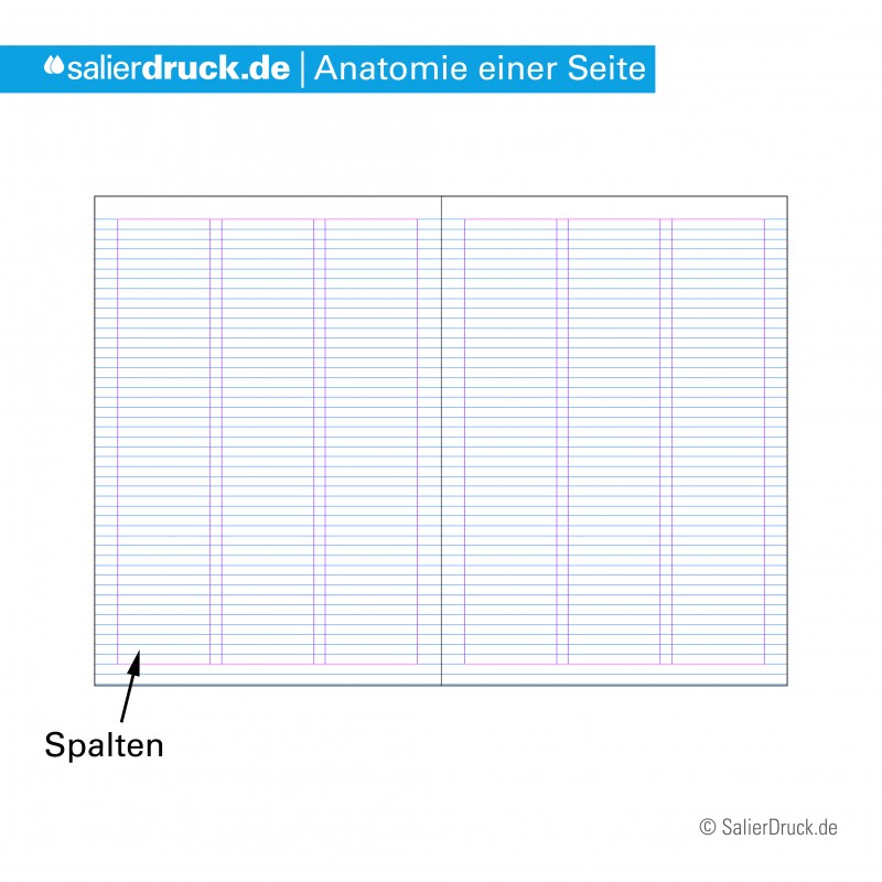 In den Spalten befindet sich die Fläche für den Fließtext.