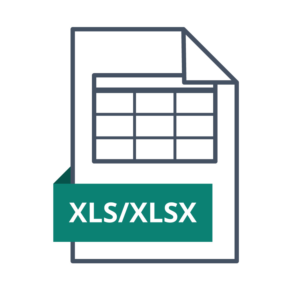 XLS / XLSX Dateiformat | SalierDruck.de