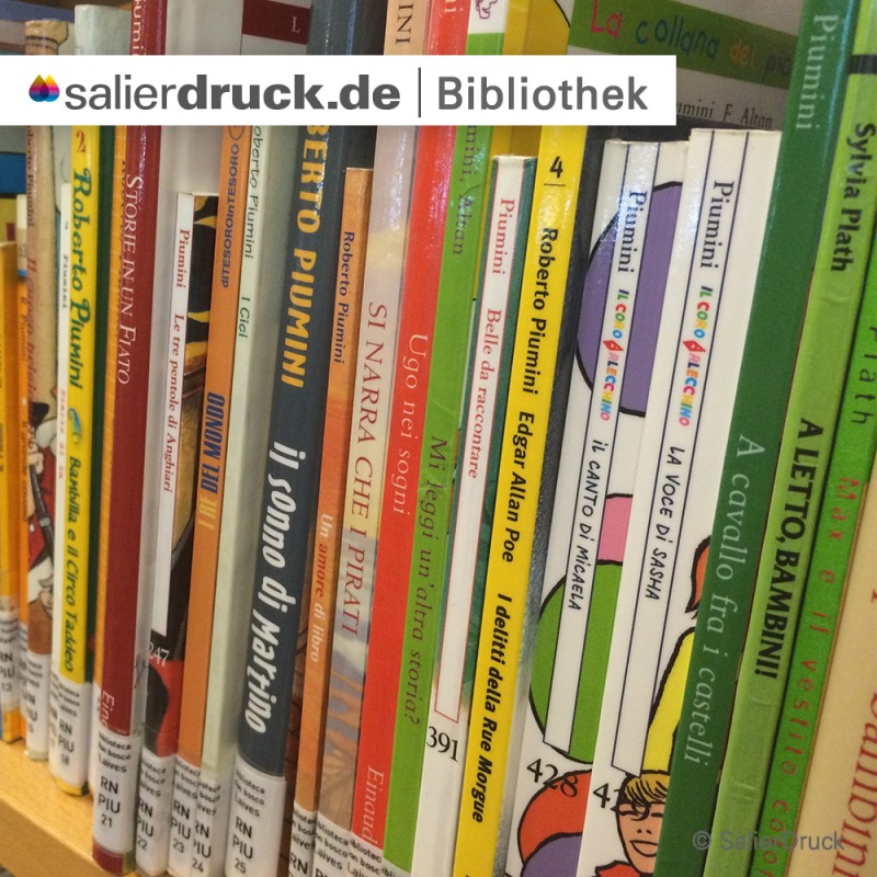 Ein kleiner Ausschnitt der Bibliothek.