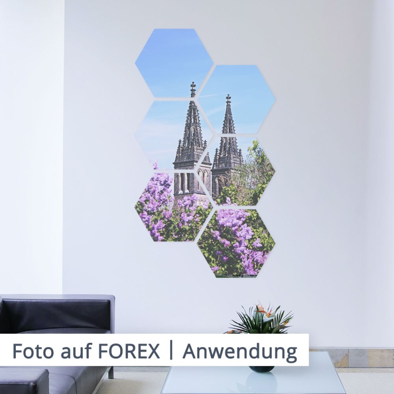 Modern und komplett individuell. Gestalten Sie Ihren FOREX Druck in verschiedenen Formen, wie beispielsweise einem Hexagon (Wabe)...