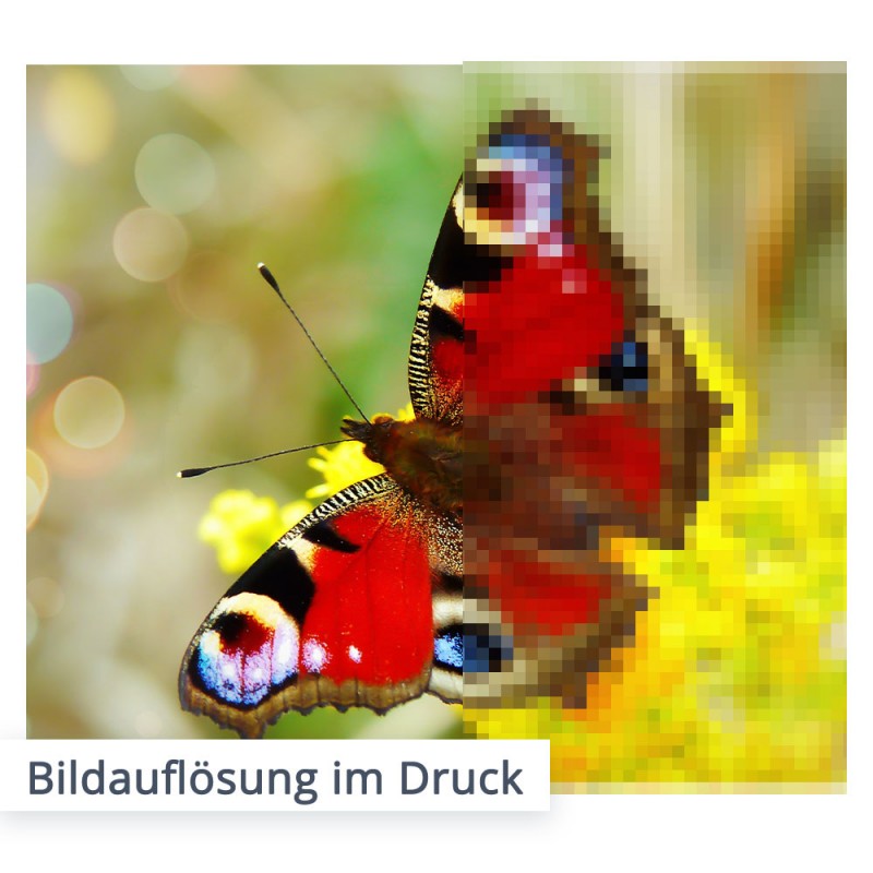 Bildauflösung im Druck | Das sollten Sie beachten, damit der Druck hochauflösend gedruckt werden kann...