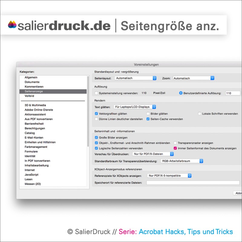 Grundeinstellungen in Adobe Acrobat für das Einblenden der Seitengröße.